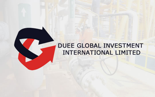 Duee Global Investment